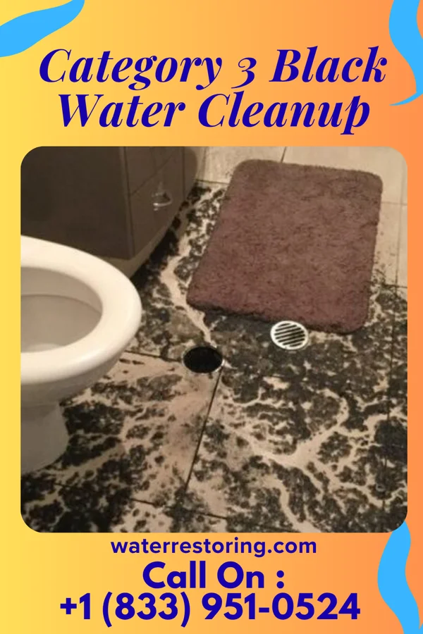 Category 3 Black Water Cleanup in Northwood, PA